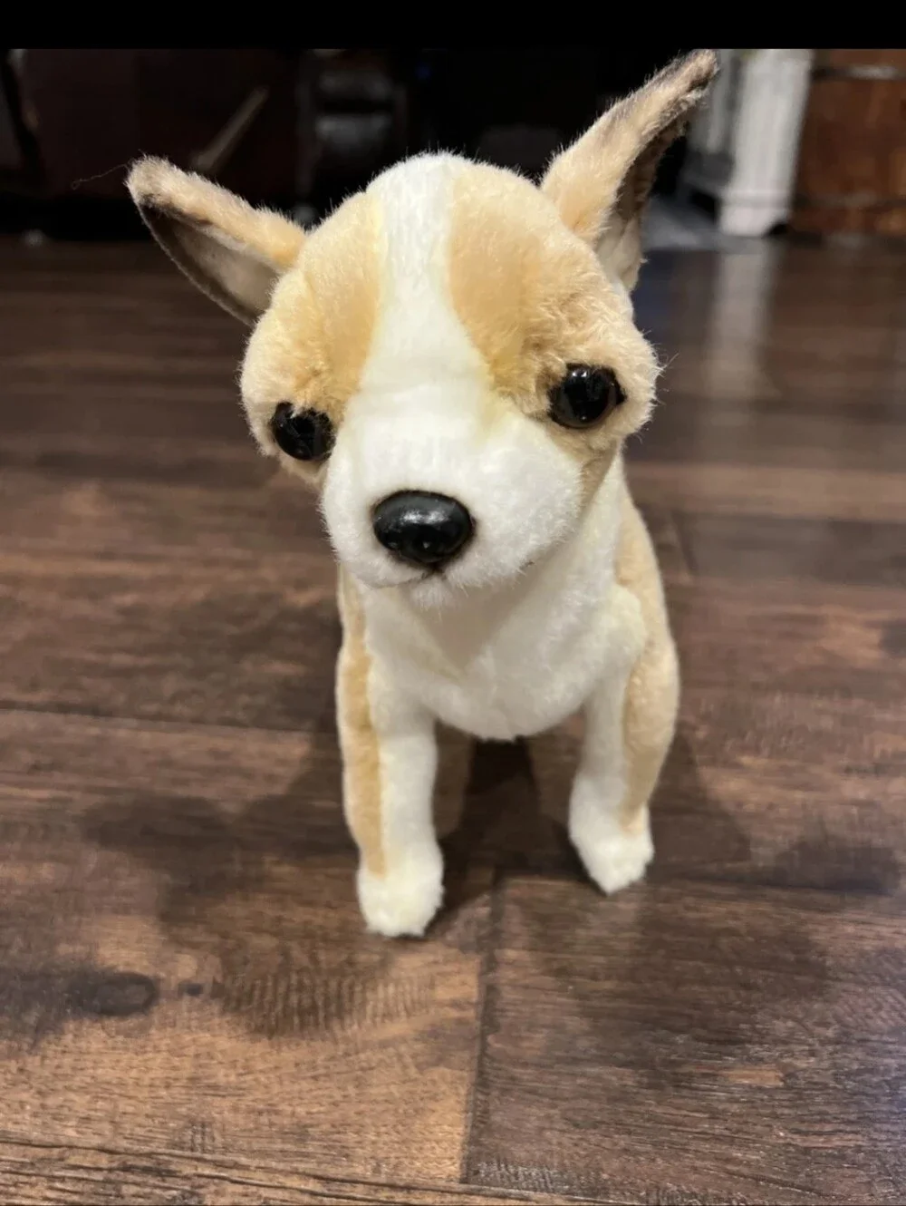 Hansa Plush Chihuaha Realistic Life Like 2015 Pet Replacement